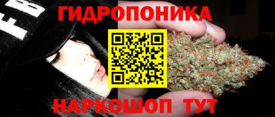 спиды Будённовск