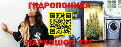 спиды Будённовск