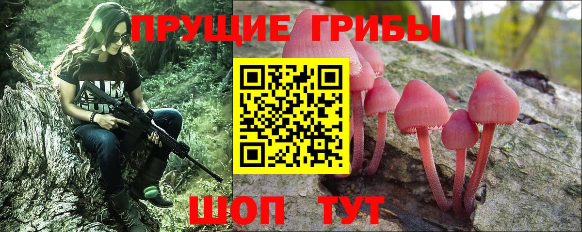 Псилоцибиновые грибы мухоморы Котельники