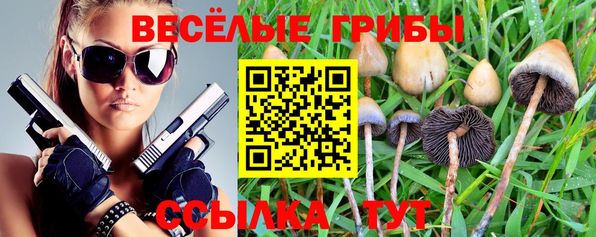 Галлюциногенные грибы ЛСД  закладка  Вход с VPN  Котельники  Галлюциногенные грибы Psilocybe 
